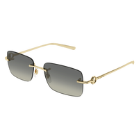 GG1703S 005 005-GOLD-GOLD-GREY 55 17