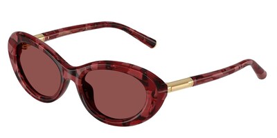 DOLCE & GABBANA DG4519