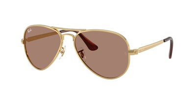 RAY-BAN RB3925 AVIATOR MAX