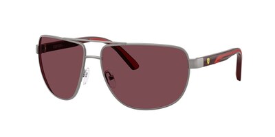 Ferrari Scuderia FZ5007