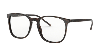 RAY-BAN VISTA RX5387 RAY-BAN VISTA RX5387