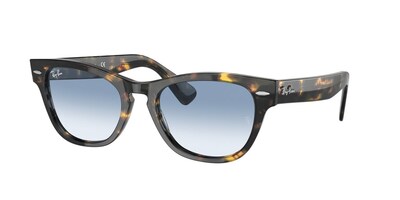 Ray-Ban RB2201 LARAMIE