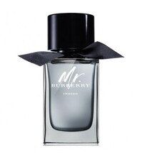 BURBERRY MR INDIGO EDT 100 ML SPRAY TESTER