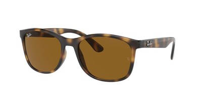 Ray-Ban RB4374