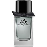 BURBERRY MR BURBERRY EDT 100 ML SPRAY TESTER