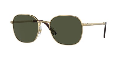 PERSOL PO1009S