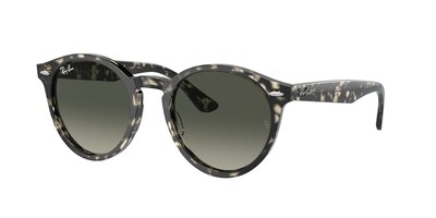 RAY-BAN RB7680S LARRY